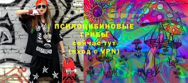 спиды Алексин