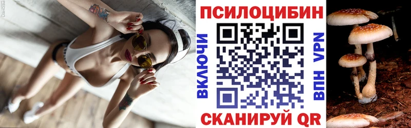 как найти закладки  Дудинка  Галлюциногенные грибы прущие грибы 